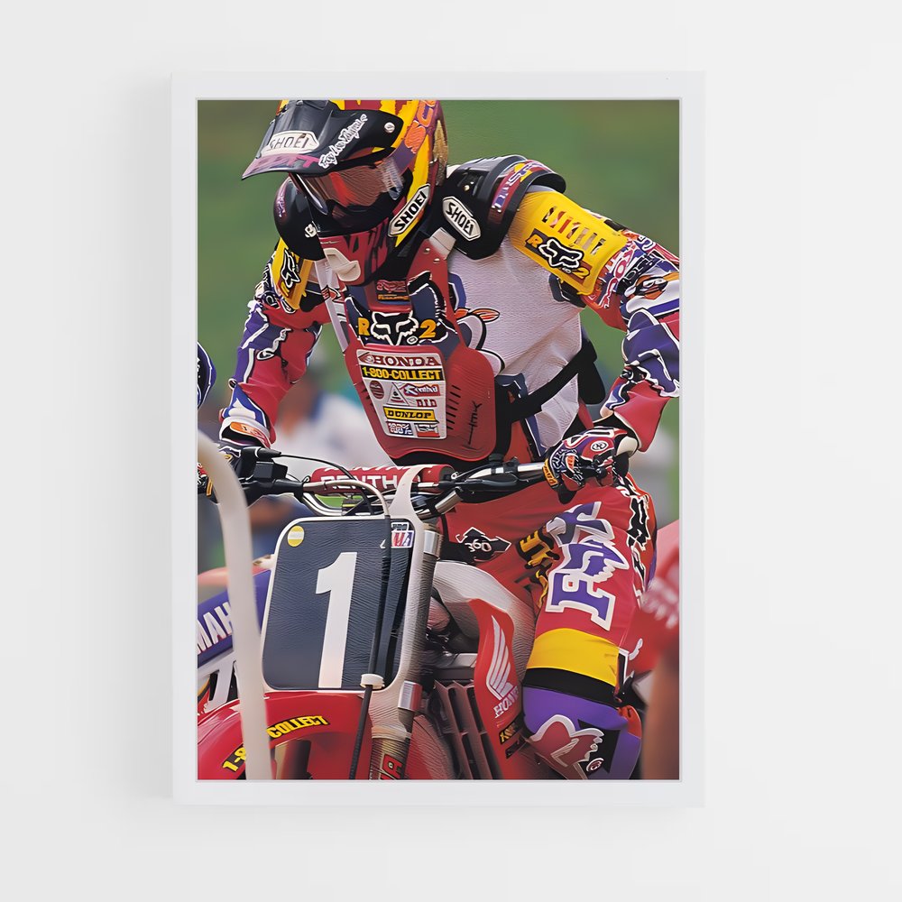 Poster Ride ou Mourir (vue 3)